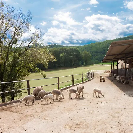 La Cabanya Planella Kır Evi *